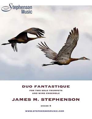 Jim Stephenson: Duo Fantastique