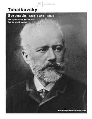 Pyotr Ilyich Tchaikovsky: Serenade: Elegie and Finale