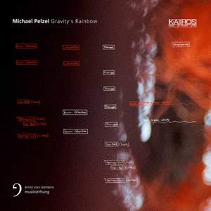 Michael Pelzel: Gravitys Rainbow