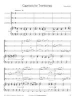 Pascal Proust: Capriccio for Trombones Product Image