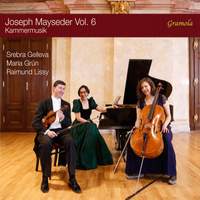 Mayseder: Kammermusik, Vol. 6