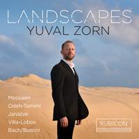 Landscapes: Yuval Zorn