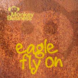 Eagle Fly On