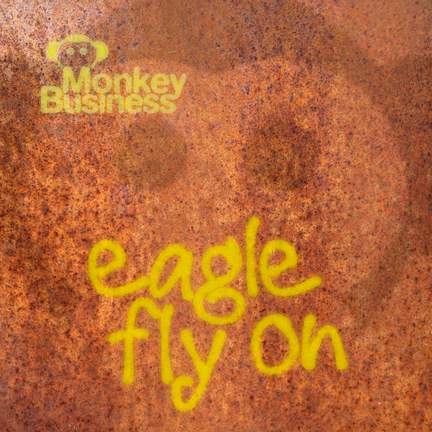 Eagle Fly On