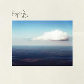 Papirfly