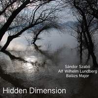 Hidden Dimension