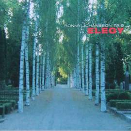 Elegy