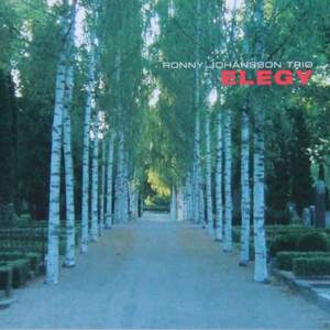 Elegy