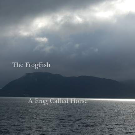A Frog Called Horse