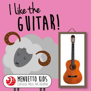 I Like the Guitar!