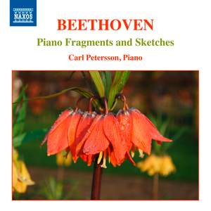 Beethoven: Piano Fragments & Sketches