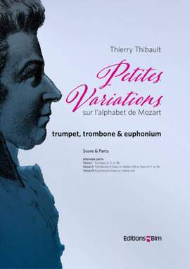 Thierry Thibault: Petites Variations
