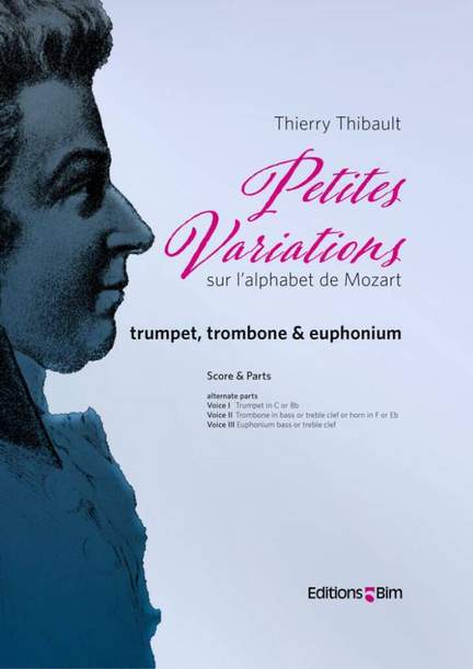 Thierry Thibault: Petites Variations