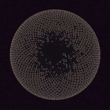 Organ Eye