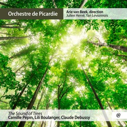 The Sound of Trees