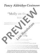 Grainger: Molly on the Shore Product Image