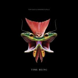 Time Being
