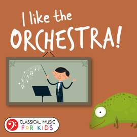 I Like the Orchestra!