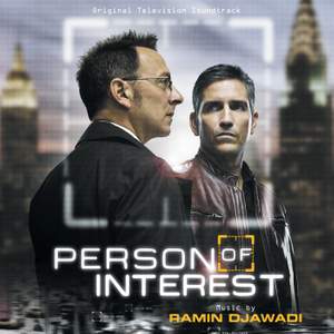 Person Of Interest