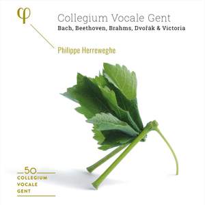 Collegium Vocale Gent: 50th Anniversary