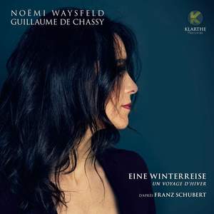 Schubert: Eine winterreise, un voyage d'hiver