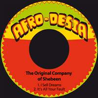 I Sell Dreams / It's All Your Fault