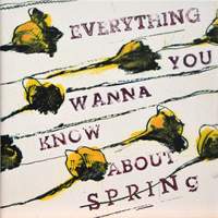 Everything You Wanna Know About Spring