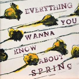 Everything You Wanna Know About Spring
