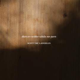 There Are Neither Wholes nor Parts
