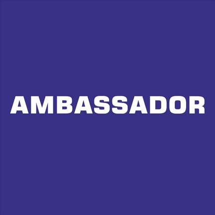 Ambassador Monel 3263 Cello 'g' 3rd