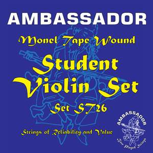 Ambassador St26 Student Violin Set
