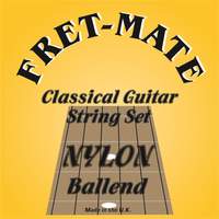 Fretmate Classic Nylon Silverwound Ballend Set