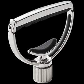G7th Heritage 1 Hand Polished S/steel-gtr 12str