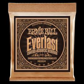 Ernie Ball: Everlast Phosphor Bronze