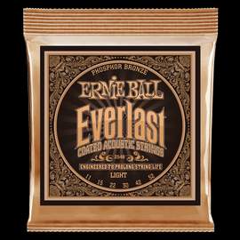 Ernie Ball: Everlast Phosphor Bronze