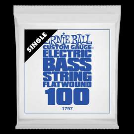 Ernie Ball .100 Stainless Steel Flatwound Bass