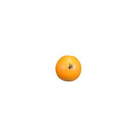 Orange Shaker