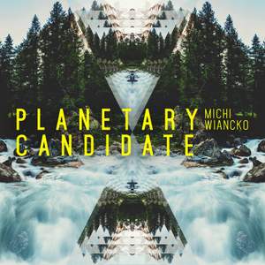 Planetary Candidate