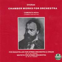 Dvorak: Chamber Works For Orchestra