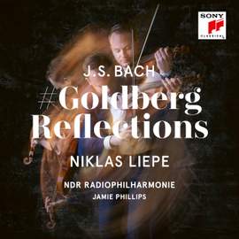 Goldberg Reflections