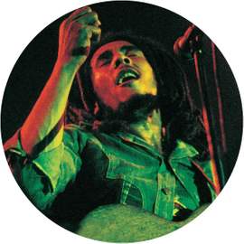 The Soul of A Rebel (picture Disc)