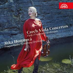 Visions of Michelangelo for Viola and Orchestra