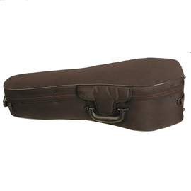Mandolin Case