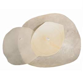 Banjo Vellum Goat 10 inch