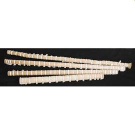 Bowhair Tail 1/2 Kg White 31in +