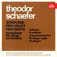 Schaefer: Symphony for Large Orchestra