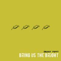 Bring Us The Bright