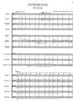 Herzogenberg, Heinrich von: Symphony No. 2 Op.70 Product Image