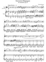 Bessems, Antoine: 5th Fantaisie op. 25 (Souvenirs élégiaques) for viola or cello and piano. Product Image