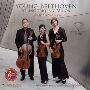 Young Beethoven: String Trio in C minor